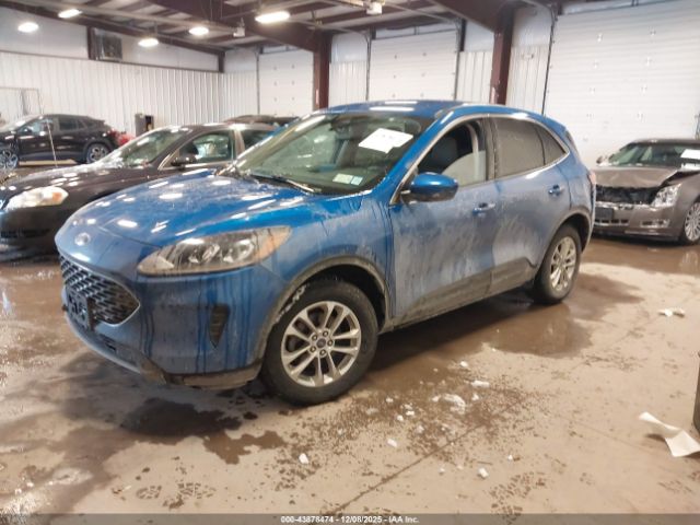 Ford Escape Se Image 5