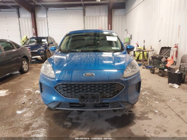 Ford Escape Se Image 12