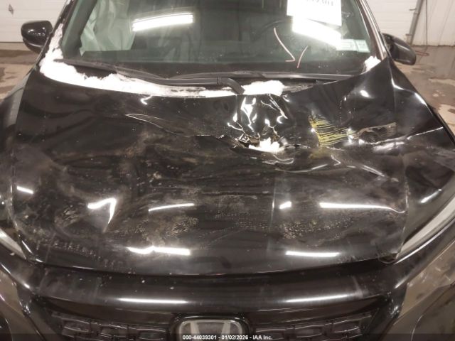 Honda Passport Awd Ex-l Image 6