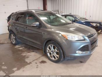  Salvage Ford Escape